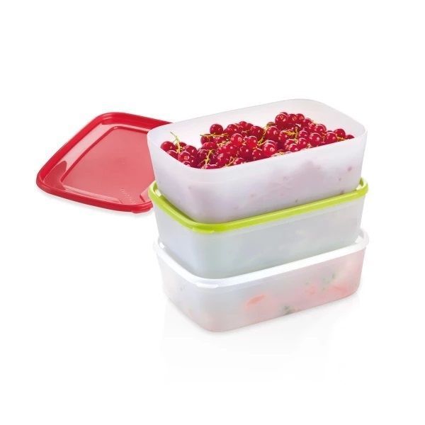 PURITY freezer containers, 0,5 l, 3 pcs Tescoma891862 photo