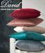Elite blanket David Home Velvet (dense) David Homed366110905 photo 3