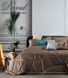 Elite blanket David Home Velvet (dense) David Homed366110905 photo 1