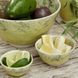 Cup Costa Nova Madeira 9.1 cm green. Costa Nova560673993217 photo 2
