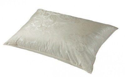 Подушка пух гаги в шовку Hefel Eiderdown HefelD5750KK-M фото
