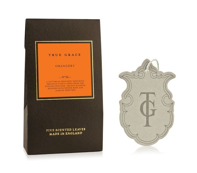 Aromatic sachet (5 pcs.) True Grace MANOR SCENTED LEAVES 5PCS True GraceSLE5-M-36 photo