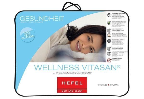 Одеяло гипоаллергенное Hefel Wellness Vitasan (SD) Летнее Hefel1226SD фото