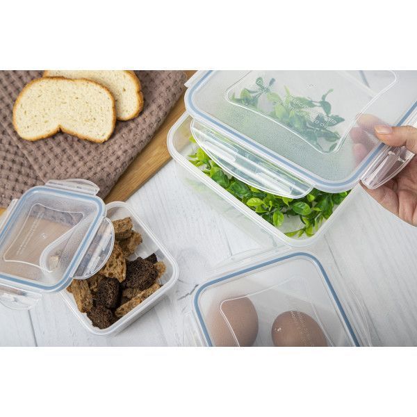 Набор контейнеров Tescoma Freshbox 3 предмета Tescoma892040 фото