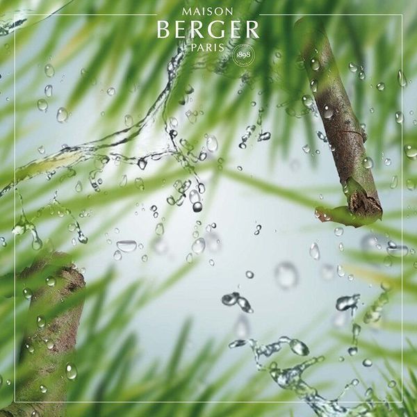 Наполнитель для аромадиффузора Maison Berger Maison Berger6280-BER фото