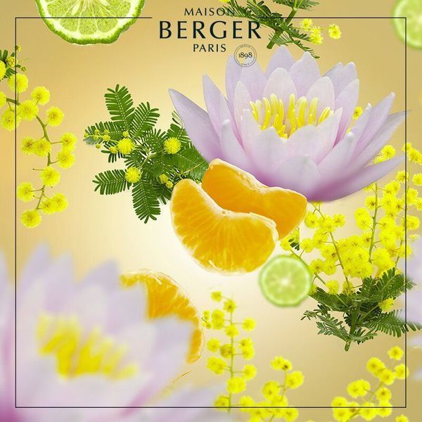 Наповнювач (ультразвуковий дифузор) Maison Berger AROMA RELAX: Oriental Comfort 475мл. (6466-BER) Maison Berger6491-BER фото