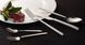 A set of 70 Villeroy & Boch La Classica cutlery for 12 people. Villeroy & Boch1264179072 photo 19