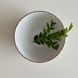 Dining set Ardesto Lucca Winter white 60 pieces for 12 people. ArdestoAR29WMC12 photo 4