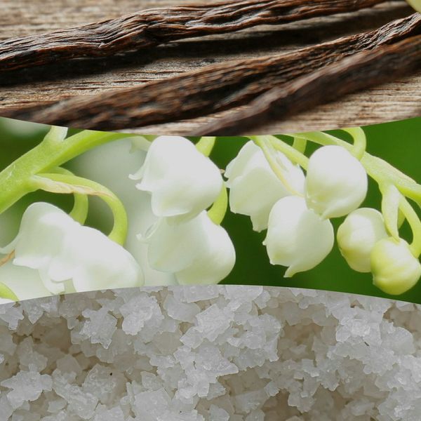 Ароматична свічка з ароматом ванілі та морської солі Woodwick Medium Vanilla & Sea Salt 275 г Woodwick_2670700E фото
