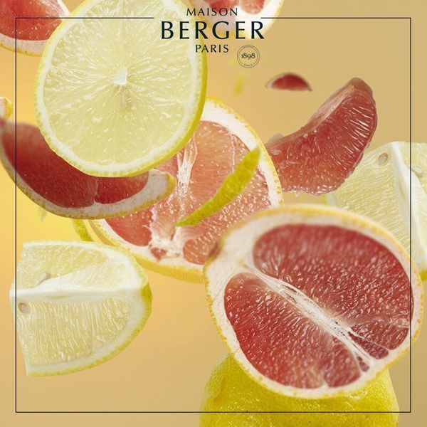 Аромадифузор в машину Maison Berger AROMA Travel (6589-BER) Maison Berger6402-BER фото