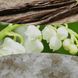 Ароматична свічка з ароматом ванілі та морської солі Woodwick Medium Vanilla & Sea Salt 275 г Woodwick_2670700E фото 2