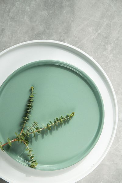Dovbysh Porcelain NOVA Green 32 cm green dinner plate. Dovbysh Porcelain100111 photo