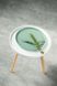 Dovbysh Porcelain NOVA Green 32 cm green dinner plate. Dovbysh Porcelain100111 photo 1