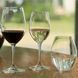 Набір з 6 келихів 560 мл для вина Riedel Degustazione Riedel0489/0 фото 3