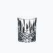 A set of 6 whiskey glasses, 296 ml each, Riedel Restaurant Spey. Riedel0418/02 photo 2