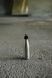 Qwetch 260/500 ml. EASY LID Black (QTB5412) lid QwetchQTB5412 photo 8