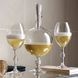 Бокал для шампанского "JCB PASSION CHAMPAGNE GLASS X2" BACCARAT_2812815 фото 3