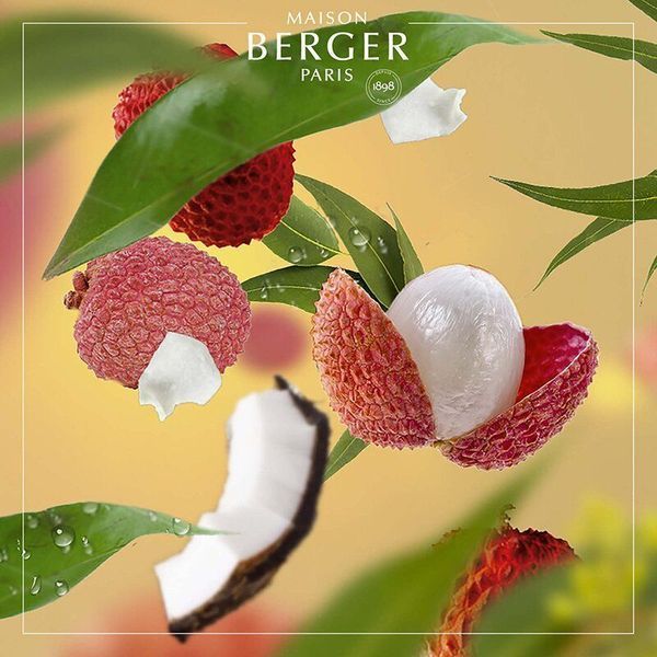 Scent - Maison Berger Refill Maison Berger23954-2-BER photo