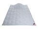Одеяло пуховое Hefel Silver Down 90/10 (SD) Летнее HefelD24690SD10 фото 2