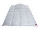 Ковдра пухова Hefel Silver Down 90/10 (WD) Зимове HefelD1690WD5 фото 2