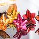 Статуетка "THE BLOOM COLLECTION" BACCARAT_2814970 фото 6